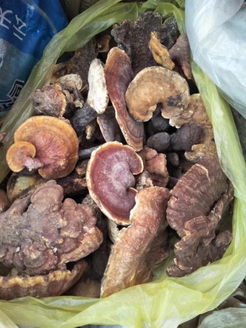 禄劝百货批发，你知道它的选择有多丰富吗？